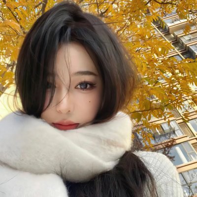 戏命师之飞天神兽